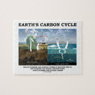 Puzzle Cycle de carbone de la terre (science de la terre)