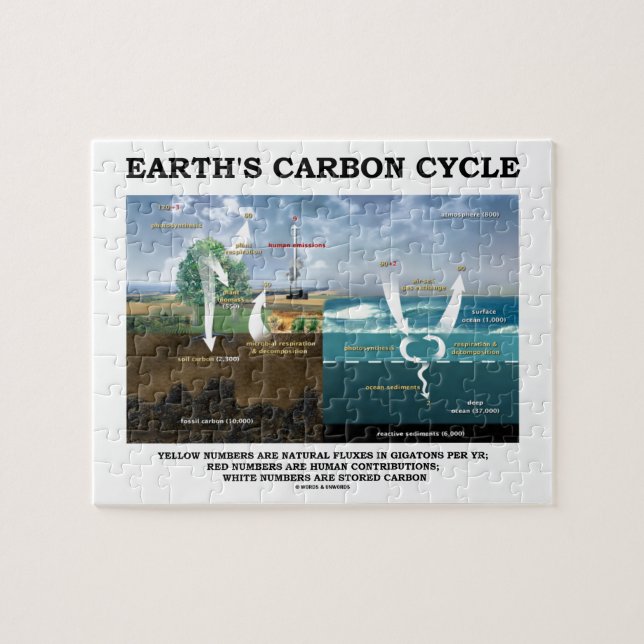 Puzzle Cycle de carbone de la terre (science de la terre) (Horizontal)