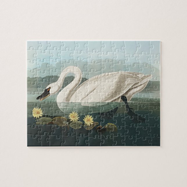 Puzzle cygne audubon cygnes d'eau blanche (Horizontal)