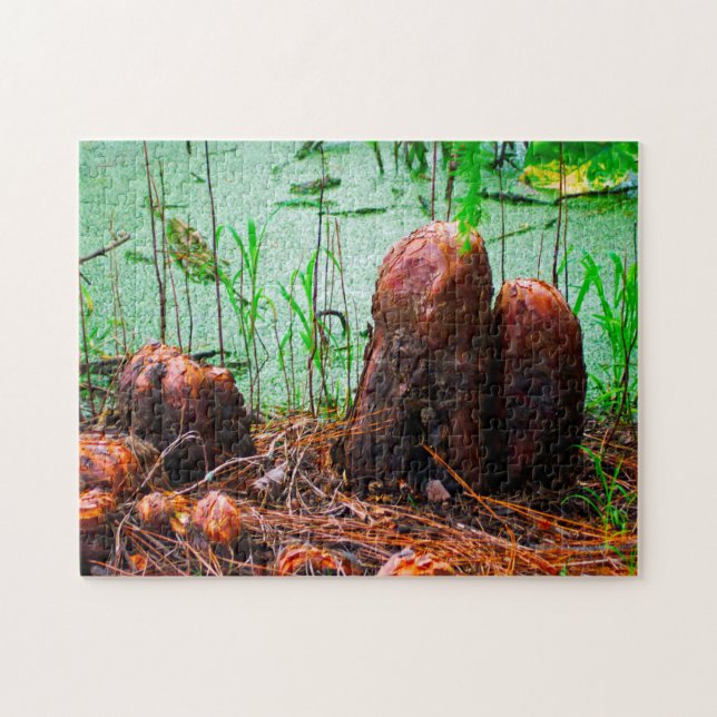 Puzzle Cypress Knees Bayou Louisiana. (Horizontal)