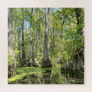 Puzzle Cypress Trees