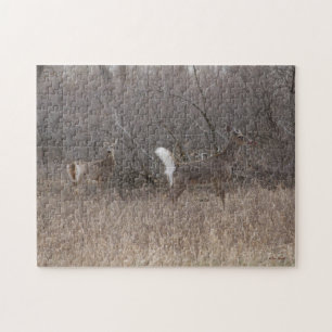 Puzzle D1 Cerfs de Virginie Jeunes Brocards de Printemps