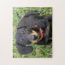 Puzzle - Dackel