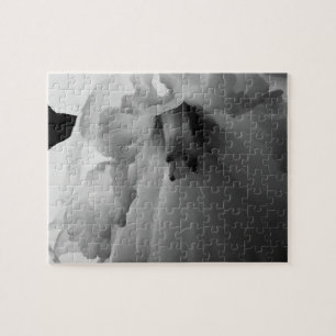 Puzzle Daffodil noir et blanc