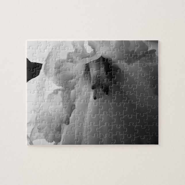 Puzzle Daffodil noir et blanc (Horizontal)