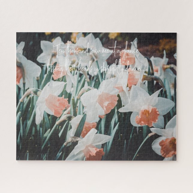 Puzzle Daffodiles d'orange blanc dans le jardin de printe (Horizontal)