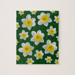 Puzzle Daffodiques de printemps