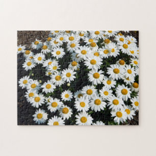 Puzzle Daisy Days