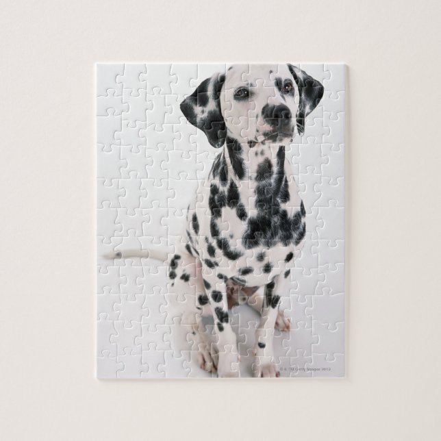 Puzzle Dalmatien (Vertical)