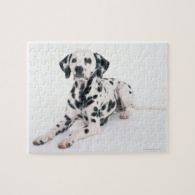 Puzzle Dalmatien 4 (Horizontal)