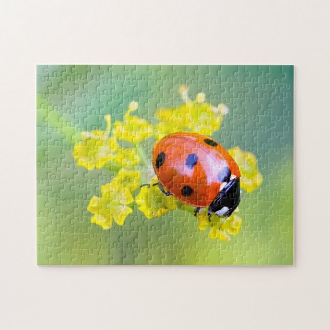 Puzzle dame sur le dessus (Horizontal)