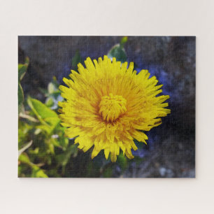 Puzzle Dandelion au soleil