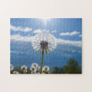 Puzzle Dandelion Dans La Lumière