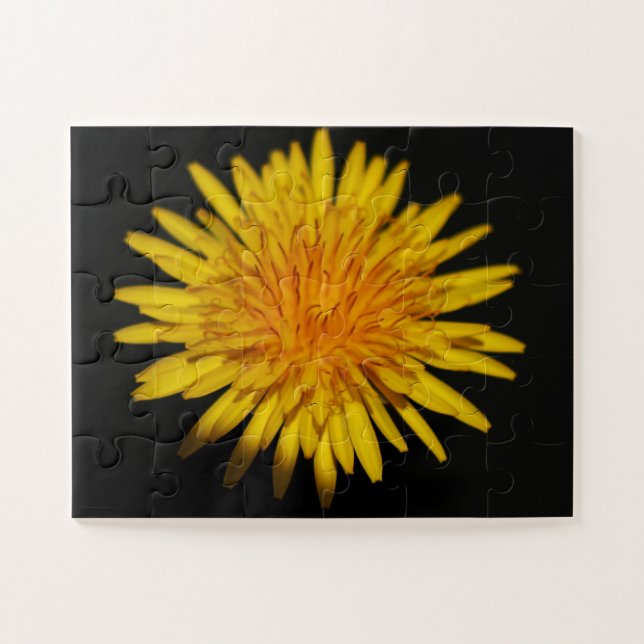 Puzzle Dandelion Flower 11x14 30pc jpcna (Horizontal)