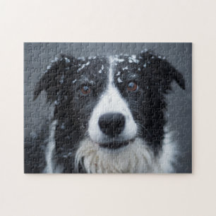 Puzzle Dans le chien des neiges