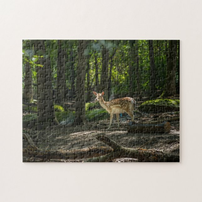 Puzzle Dans les bois (Horizontal)