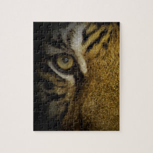 Puzzle Dans l'oeil d'un tigre