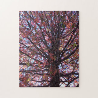 Puzzle d'arbre rouge
