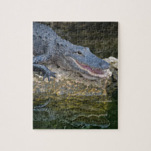 Puzzle Dark Crocodile with Clear Reflection in Water