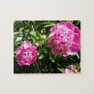 Puzzle Dark rose peonies