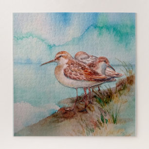 Puzzle Daté, Aquarelle Sandpiper Shore Beach Oiseaux Art