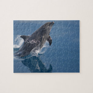 Puzzle dauphin