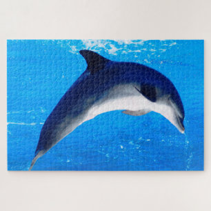 Puzzle Dauphin