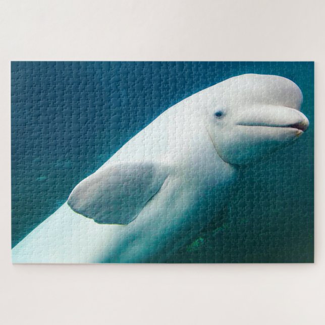 Puzzle Dauphin blanc (Horizontal)