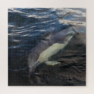 Puzzle Dauphin commun natation personnalisable