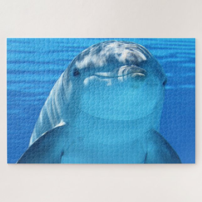 Puzzle Dauphins (Horizontal)