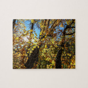 Puzzle d'automne de Sedona