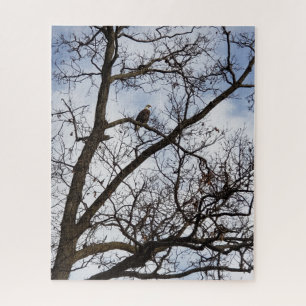 Puzzle de Bald Eagle