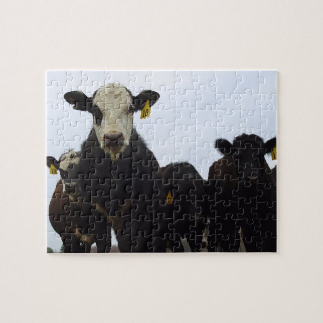 Puzzle de bande de vache (Horizontal)