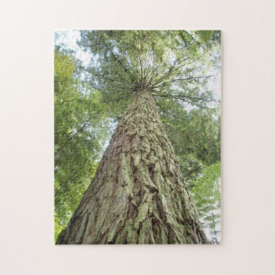 Puzzle de beaux arbres