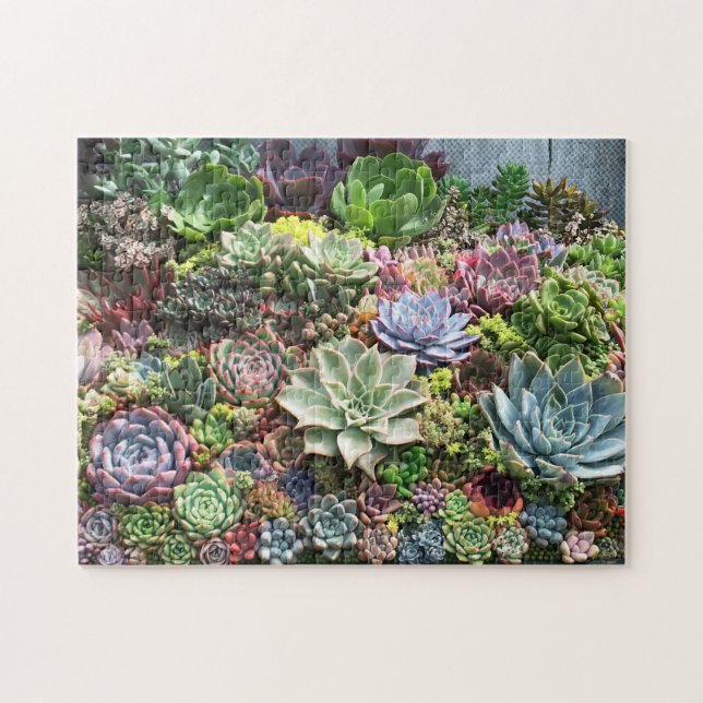 Puzzle De beaux succulents (Horizontal)