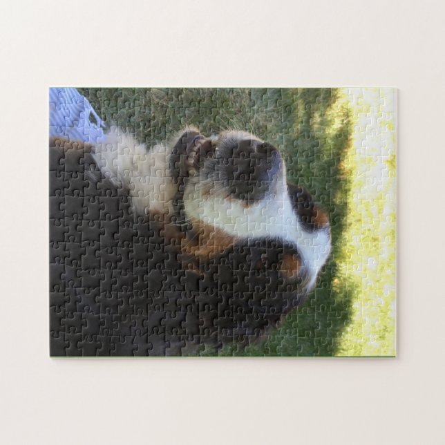 Puzzle de Bernese (Horizontal)