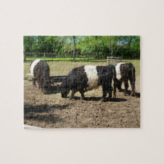 Puzzle de bétail de Galloway