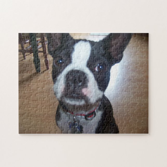 PUZZLE DE BOSTON TERRIER (Horizontal)