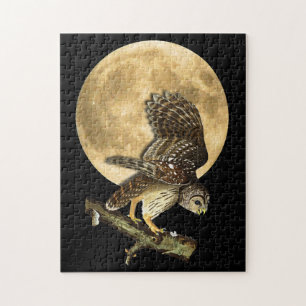 Puzzle de cadeau de Halloween de hibou barré et d