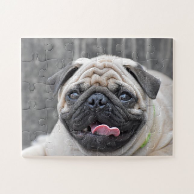 Puzzle de carlin (Horizontal)