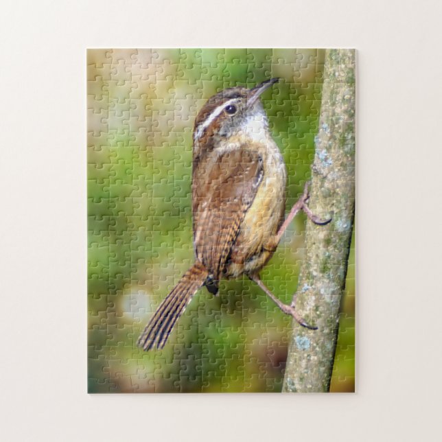 Puzzle de Carolina Wren (Vertical)