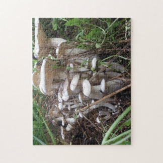 Puzzle de champignon