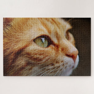 puzzle de chat tabby orange