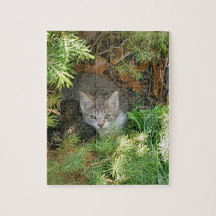 Puzzle de chaton