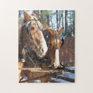Puzzle de chevaux d'hiver