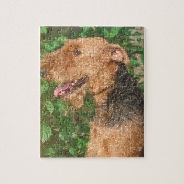 Puzzle de chien d'Airedale Terrier (Vertical)