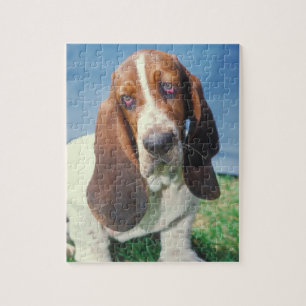 Puzzle de chien de Basset Hound
