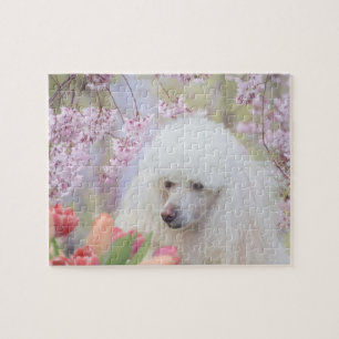 Puzzle de chien de caniche