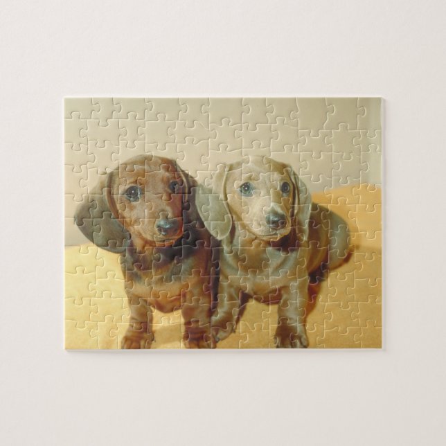 Puzzle de chien de chiots de teckel (Horizontal)
