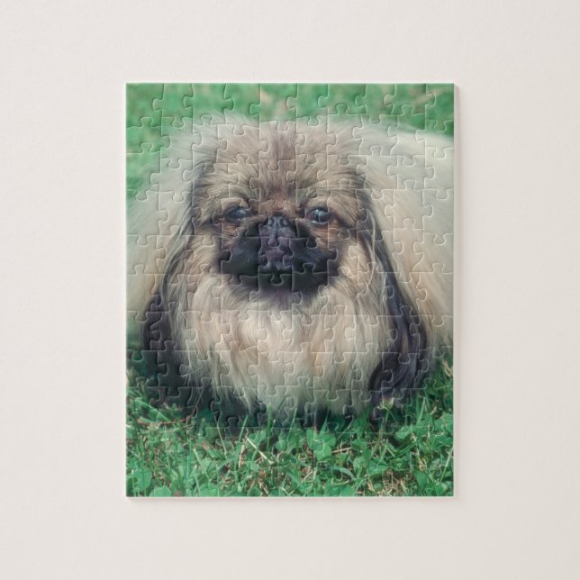 Puzzle de chien de Pekingese (Vertical)